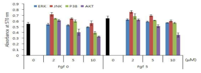 MAPK, PI3K 저해제에 의한 치수줄기세포 성장반응 평가