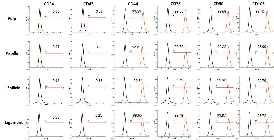 각각의 치아줄기세포의 세표 표면 항원 분석 결과