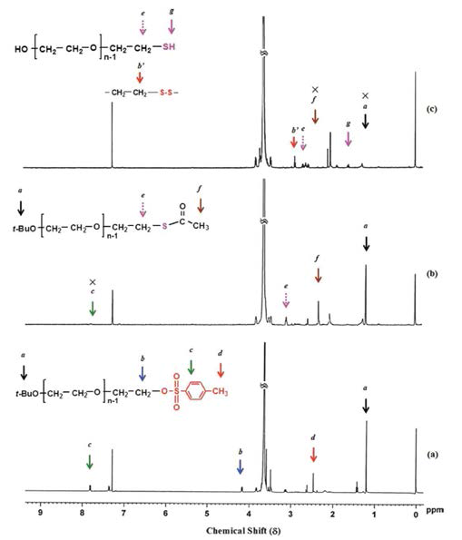 본 연구를 통해 합성한 양쪽 말단에 서로 다른 작용기를 포함하는 PEO의 구조 및 수소