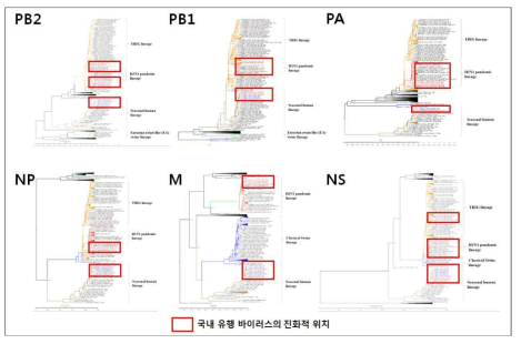 인플루엔자 바이러스 internal genes 분자계통수