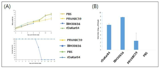 154번째 N-linked glycosilation 여부에 따른 병원성 분석 (A) 바이러스 감염 유아 마우스 몸무게 및 생존률 분석 (B) 바이러스 감염마우스의 뇌내 바이러스 역가 측정