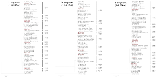 환자시료에서 확보된 23개의 한탄바이러스 L, M, S 분절 전장유전체 염기서열정보의 계통지리분석