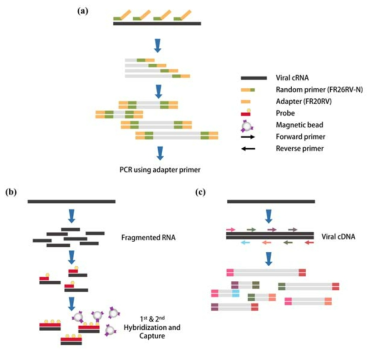 SISPA-, RNA access-, Multiplex PCR-based NGS method의 비교