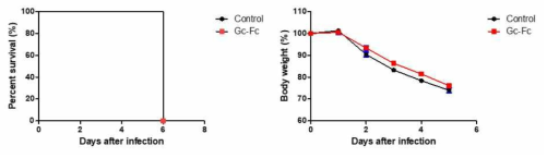 Alum adjuvant가 혼합된 Gc-Fc로 면역한 실험동물모델에서 SFTSV 감염 후, 생존율(좌)과 체중변화(우)