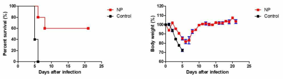 Alum adjuvant가 혼합된 NP-his로 면역한 실험동물모델에서 SFTSV 감염 후, 생존율(좌)과 체중변화(우)