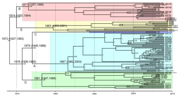 Time-scaled Bayesian MCC 계통분석을 활용한 SFTSV 분화시기 예측분석