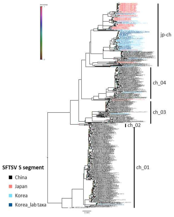 등록된 모든 SFTSV 분리주들의 전체 S segment 유전자를 이용한 계통발생학적인 분석