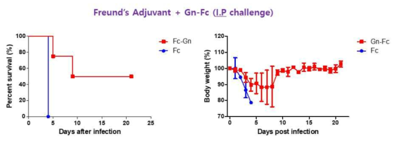 Freund’s adjuvant가 혼합된 Gn-Fc로 면역한 실험동물모델에서 SFTSV 감염 후, 생존율(좌)과 체중변화(우)
