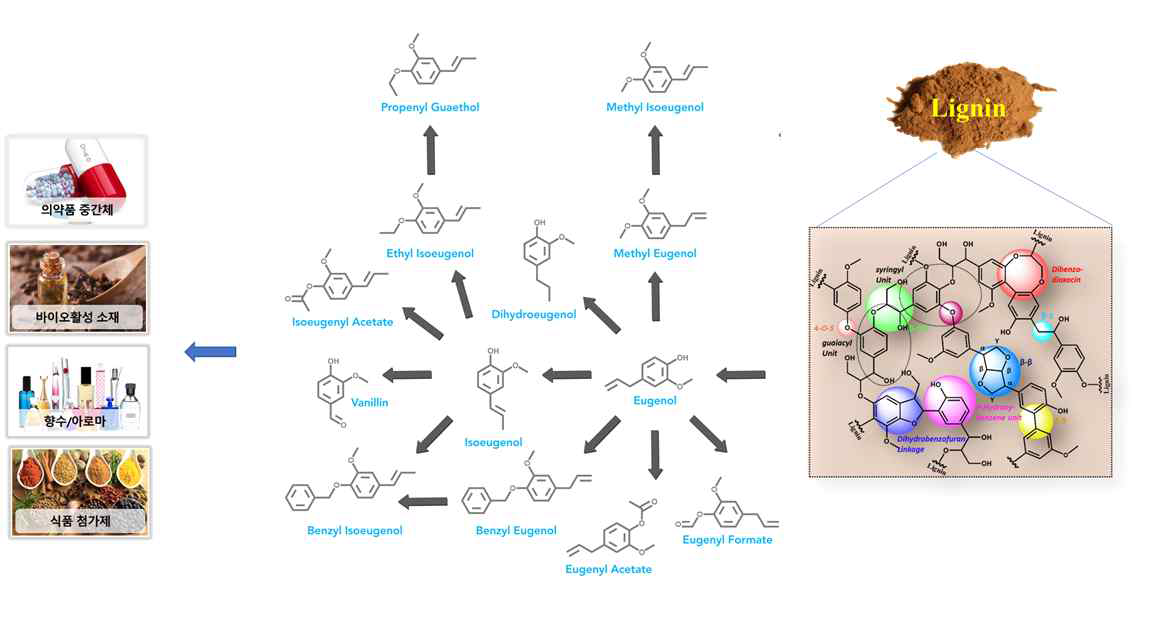 Eugenol 플랫폼 정밀화학 소재