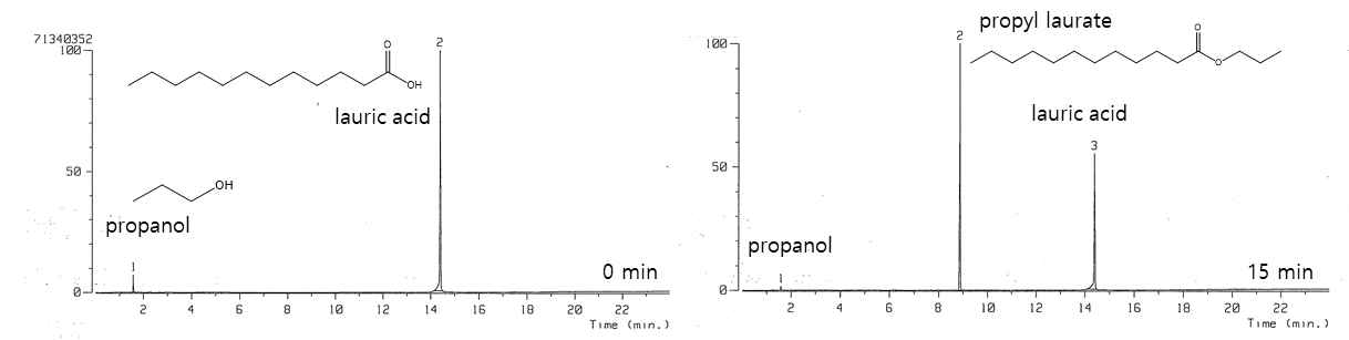 Propanol과 lauric acid의 esterification 반응