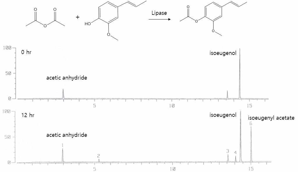 Candida antarctica 유래 lipase를 이용한 isoeugenol과 acetic anhydride로부터 isoeugenyl acetate의 합성