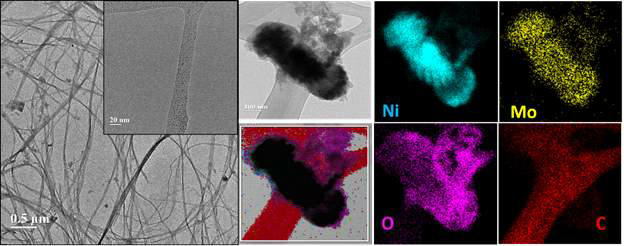 NiMoO /BNC 전극의 TEM 사진4