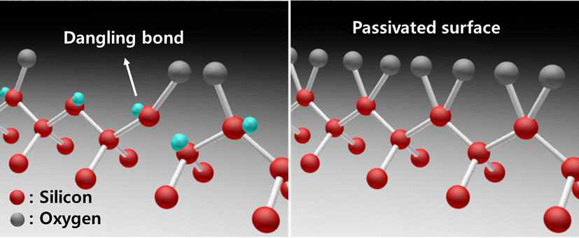 표면 안정화층의 불포화 결합을 제거한 모식도