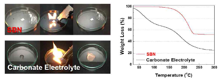 SBN 기반 고분자 전해질의 비 인화성 성능 결과 및 TGA 그래프