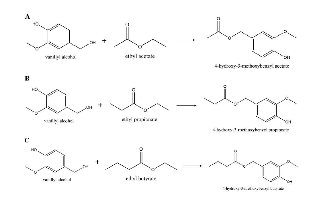 바닐린 알코올과 짧은 사슬 에스테르 사이의 에스테르 교환 반응 (A) 바닐린 알코올과 에틸아세테이트 사이의 에스테르 교환반응식 (B)바닐린 알코올과 프로피온산에틸 사이의 에스테르 교환 반응식 (C)바닐린 알코올과 뷰티르산에틸 사이의 에스테르 교환 반응식
