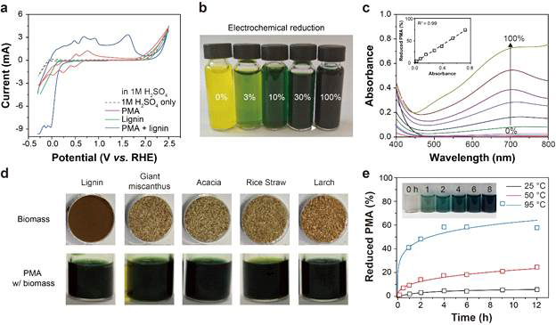 다양한 바이오매스에 의한 PMA의 환원. (a) 1 M H2SO4에서 리그닌 및 PMA의 순환 전압도(Cyclic voltammetry). (b) 사진과 (c) 전기화학적으로 환원된PMA 용액의 UV / 가시적 흡수 스펙트럼. (d) 다양한 유형의 생 바이오매스와 함께 인큐베이션된 PMA 용액의 디지털 이미지. (e) 다양한 온도에서 리그닌(75mg mL-1)에 의해 환원된PMA의 농도 프로파일. PMA3-및 PMA5-의 초기 농도는 각각 0.5 및 0 M이었음