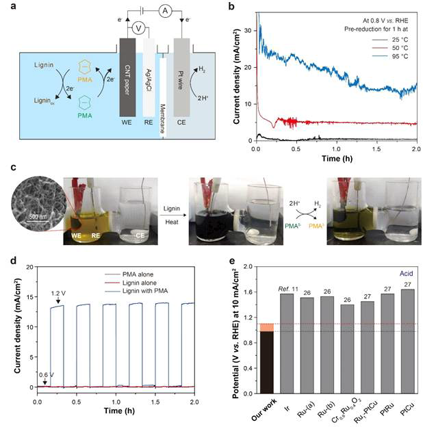 PMA를 사용하여 리그닌으로부터 전자 추출. (a) PMA 및 전기 화학 수소 생산을 이용한 리그닌 산화를 위한 전기 화학 장치. (b) 다양한 온도에서 리그닌과 사전 환원된 PMA 용액을 사용하는 전기 화학 전지의 전류 밀도 프로파일. (c) 전기 화학 전지에서 리그닌에 의한 PMA의 환원 및 PMA의 재산화시 색상 변화를 나타내는 사진. 삽입된 그림은 CNT 종이 전극의 SEM 이미지를 보여줌. (d) PMA 단독, 리그닌 단독 및 이들 둘 모두를 적용 전위의 함수로서 함유하는 1M H2SO4용액의 시간-전류법(Chronoamperometry). (e) PMA에 의한 리그닌 산화 및 최고 성능의 OER 촉매에 의한 수산화로부터 산에서 10 mA/cm2의 전류 밀도를 허용하는데 필요한 전위 사이의 비교. 흑색 막대 및 적색 막대는 각각 2 시간의 시간-전류법 측정 시작 및 이후의 전위에 해당