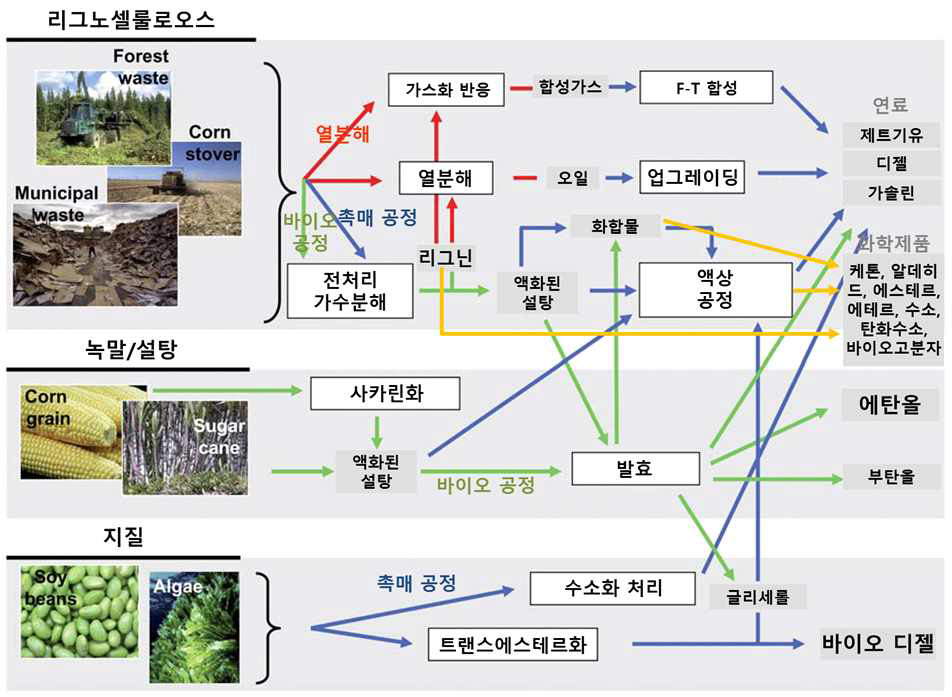 리그닌으로부터 연료와 화학제품을 만드는 다양한 경로 및 관련기술들의 연관성