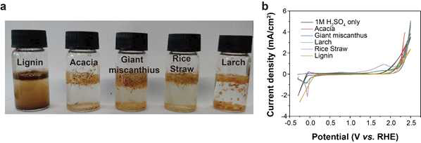 (a)이 연구를 수행 한 산성 pH에서 바이오매스의 낮은 용해도를 보여주는 사진. (b) 다양한 바이오매스의 순환 전압도(CV). 이들 결과는 본 연구에서 시험된 바이오매스가 본 연구의 실험 조건(즉, pH~1.0 및 RHE에 대해 0.6 내지 0.9V 사이의 인가된 바이어스)에서 낮은 용해도 및 무시할 수 있는 전기 화학적 활성을 갖는다는 것을 보여줌