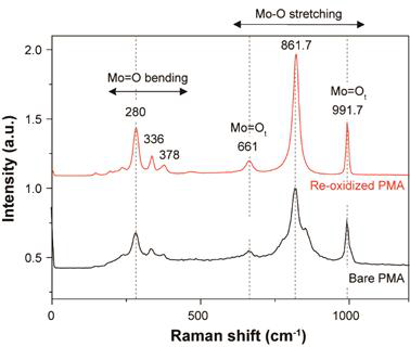 반복적으로 사용된 PMA의 라만 스펙트럼