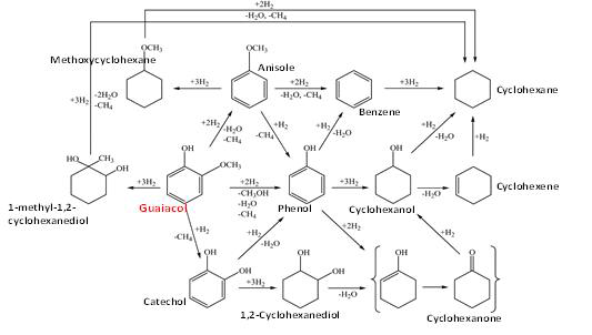 구아이아콜의 수첨탈산소화 반응을 통해 일어날 수 있는 반응경로