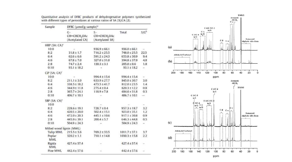 DHP를 이용한 합성 리그닌 구조 분석 결과 (1)