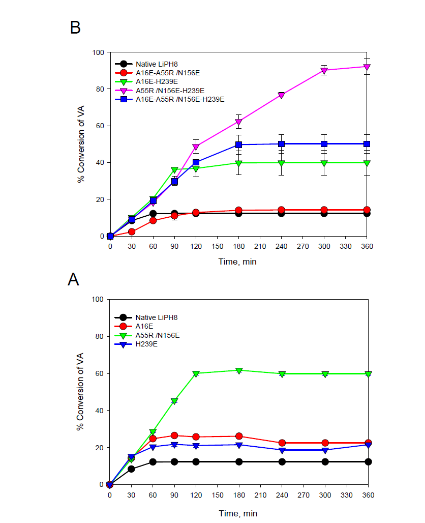 고유 LiPH8과 단일 염교를 도입한 돌연변이(A), 다중 염교를 도입한 돌연변이(B)에 의한 VA 전환. 산화 반응은 0.1M BR 완충액, pH 2.5, 4mM VA 및 1μM 고유 LiPH8 또는 변이체에서 수행, H2O2는 25℃에서 150μM/15분의 속도로 공급