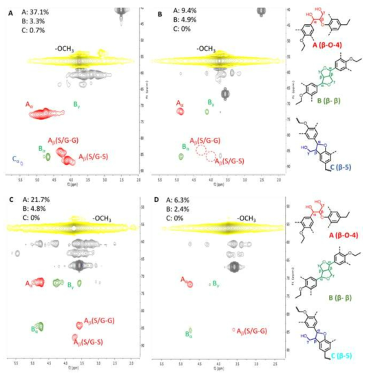 촉매 LiPH8/H2O2의 존재 및 부재하에서 포플러(A, B) 및 소나무(C, D)로부터 메틸화된 리그닌 지방족 영역(DMSO-d6에서)의 2D NMR 스펙트럼. 2D NMR 스펙트럼을 5mm BBO NMR 프로브를 사용하여 400MHz 기기(Bruker)에서 기록했음. 리그닌 샘플 (25mg)을 0.5ml의 중수소화 DMSO-d6에 용해시켰음. 등고선 채색은 그림 오른쪽에 표시된 구조 단위와 일치함. 정량화 값은 지방족 구조의 총 면적 리그닌 방향족 단위로의 상대면적 적분으로부터의 것임