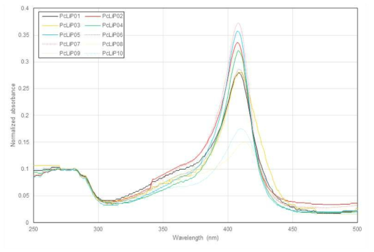 PcLiP의 소렛 밴드. 409nm에서 나타나는 소렛 피크의 상대적 크기를 명확히 보여주기 위해 측정된 데이터는 280nm에서의 흡광도가 0.1이 되도록 정규화되었음. Rz 값은 PcLiP01부터 PcLiP10까지 순서대로 각각 2.79, 3.32, 2.80, 3.19, 3.55, 2.86, 3.71, 1.45, 3.23, 1.75임