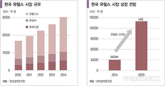 국내 U-health 시장 규모 및 시장 전망(출처: 현대경제연구원)