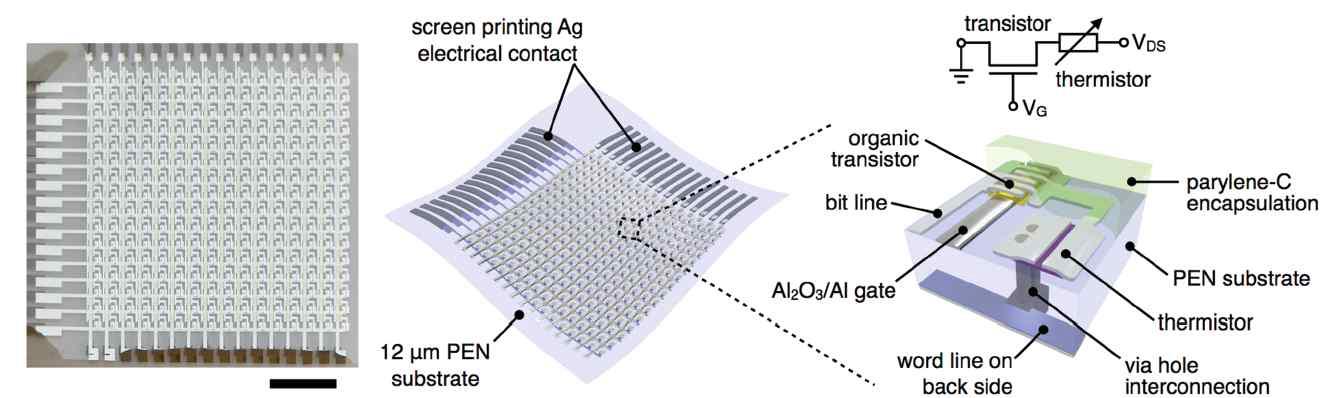 유기 트랜지스터 기반 유연 온도 센서