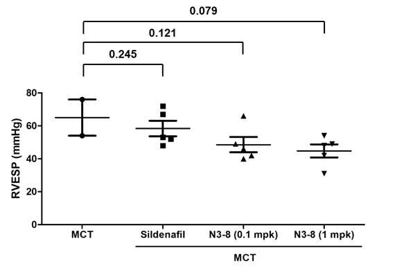 Monocrotaline rat 폐동맥고혈압 모델에서 평가한 항 Lysyl-tRNA synthetase 항체 N3-8의 혈역학적 개선 효과
