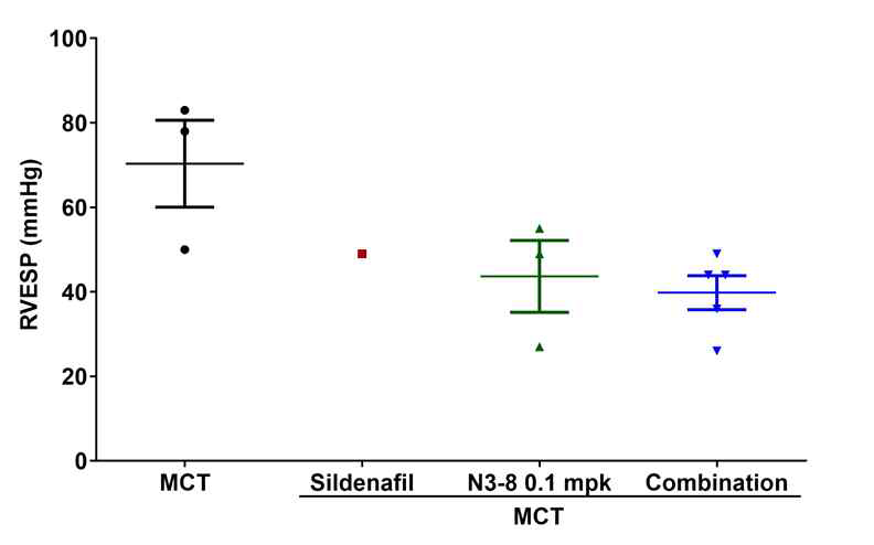 Monocrotaline rat 폐동맥고혈압 모델에서 평가한 항 Lysyl-tRNA synthetase 항체 N3-8의 혈역학적 개선 효과 (Sildenafil 단독투여군 포함한 분석)
