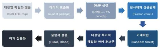 대장암 특이적인 메틸화 분석 파이프라인