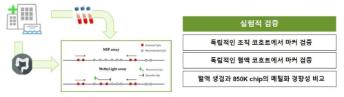 대장암 특이적 메틸화 마커의 실험적 검증 방안