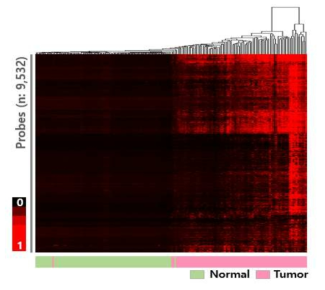혈액 생검이 가능도록 대장 정상샘플에서 메틸화 정도가 낮고, 대장암 샘플에서 메틸화가 높은 9,532 CpG site의 heatmap
