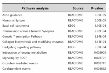 대장암 메틸화 변이 지역의 pathway analysis 결과