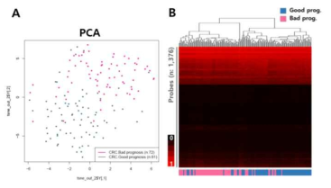 대장암 예후 그룹별로 메틸화 차이를 보이는 probe의 PCA (A) 및 heatmap (B)