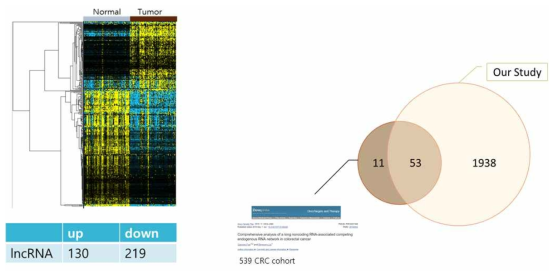 대장암 특이적 lncRNA 선정 및 선행연구 비교 검증 결과