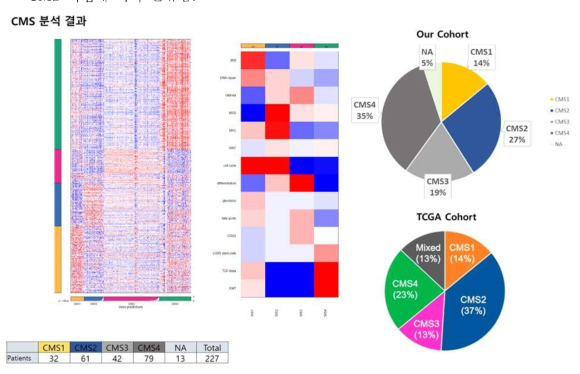전사체 데이터 분석을 통한 CMS 군에 따른 대장암 환자군 분류