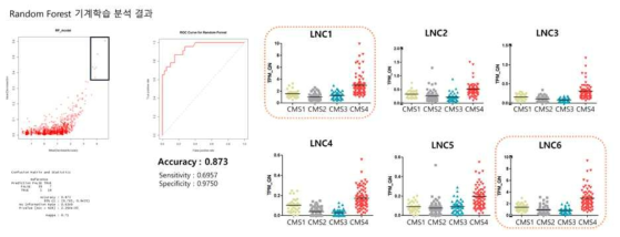 기계학습 기법을 통한 대장암 특이적 lncRNA 바이오마커 유전자 후보군 선정