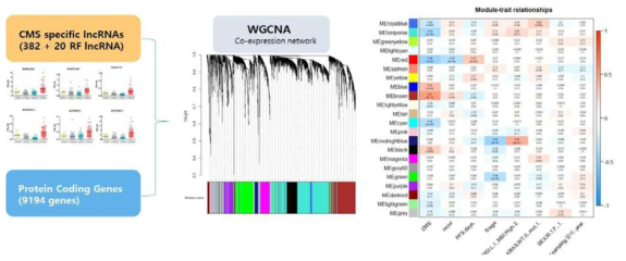 대장암 특이적 lncRNA 및 Protein coding 유전자를 이용한 조절 네트워크 구축