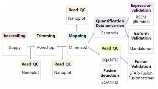 본 연구단이 현재까지 구축한 Nanopore 전사체 데이터 분석 파이프라인