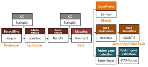 나노포어 전사체 데이터 (cDNA-PCR)를 분석하기 위해 본 연구단에서 설립한 파이프라인