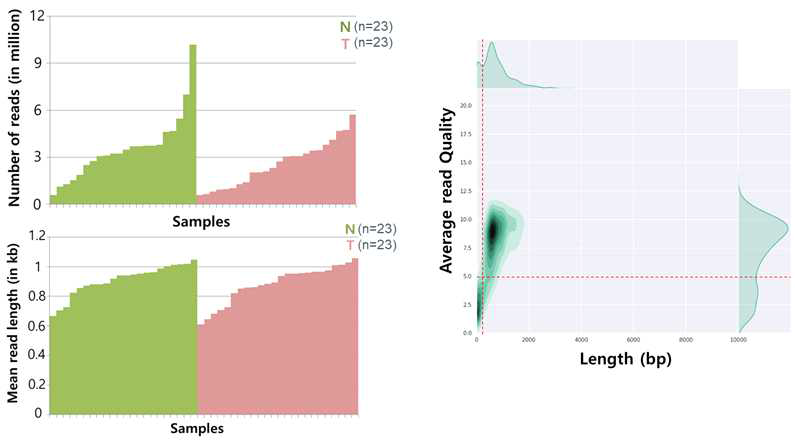 생산된 나노포어 전사체 데이터에 대한 품질 확인 (왼,위:전체 데이터의 리드 수, 왼,아래:전체 데이터의 평균 리드 길이, 오른쪽: 전체 데이터의 평균 리드 퀄리티와 길이)