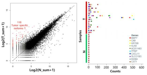 대장암 특이적 Isoform 타겟 선정을 위한 차등 발현량 기반 분석 결과 (왼쪽: 전체 정상조직 대비 암에서 특이적으로 발현하는 isoform의 타겟 선정, 오른쪽: 가장 크게 차등 발현되는 타겟들의 샘플간의 수 차이)