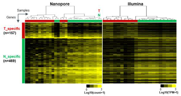 나노포어 데이터 기반 대장암 특이적으로 선별된 유전자들에 대한 군집 분석 및 illumina 데이터와의 비교 분석 결과