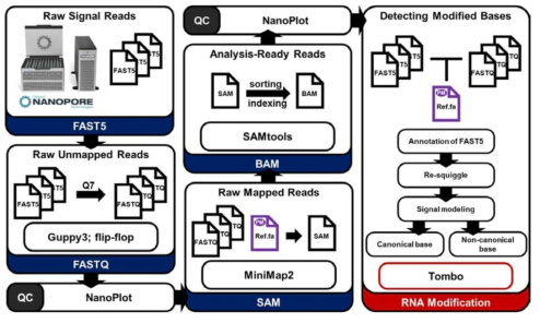 나노포어 전사체 데이터 (direct RNA-seq)를 분석하기 위해 구축된 분석 파이프라인