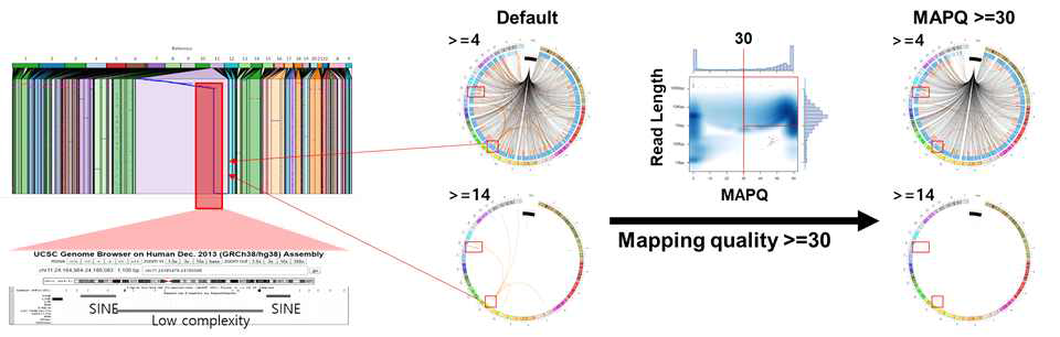 MAPQ filter 적용을 통한 신뢰도 높은 구조변이 탐색
