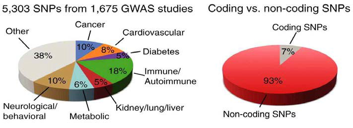 GWAS 연구의 암 특이적 SNP들의 구성도